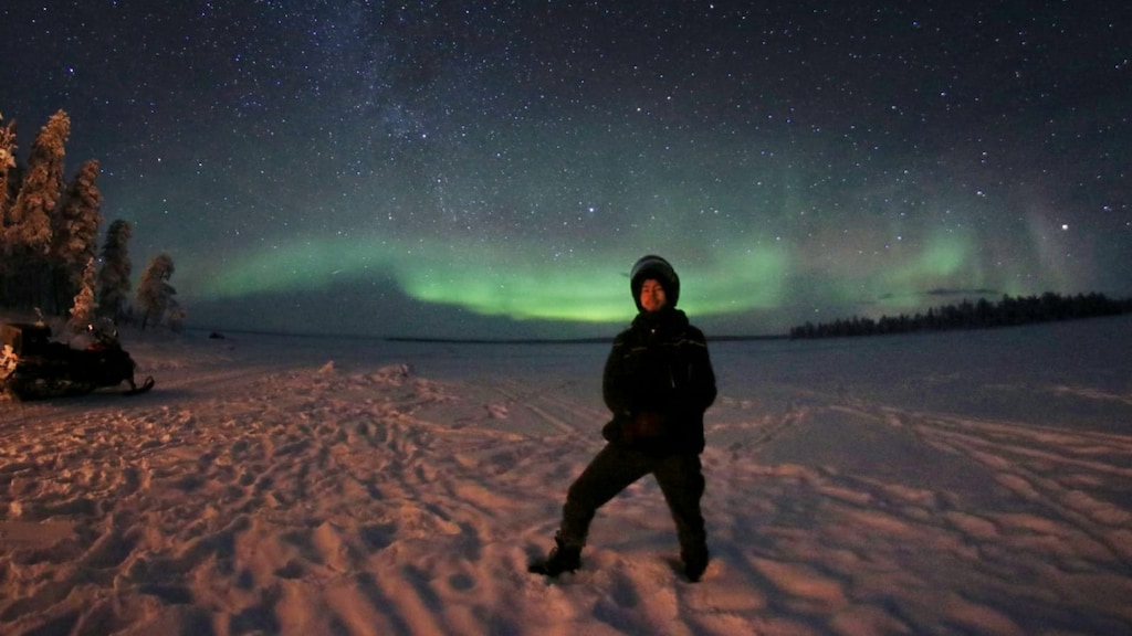 Björn bij het noorderlicht.